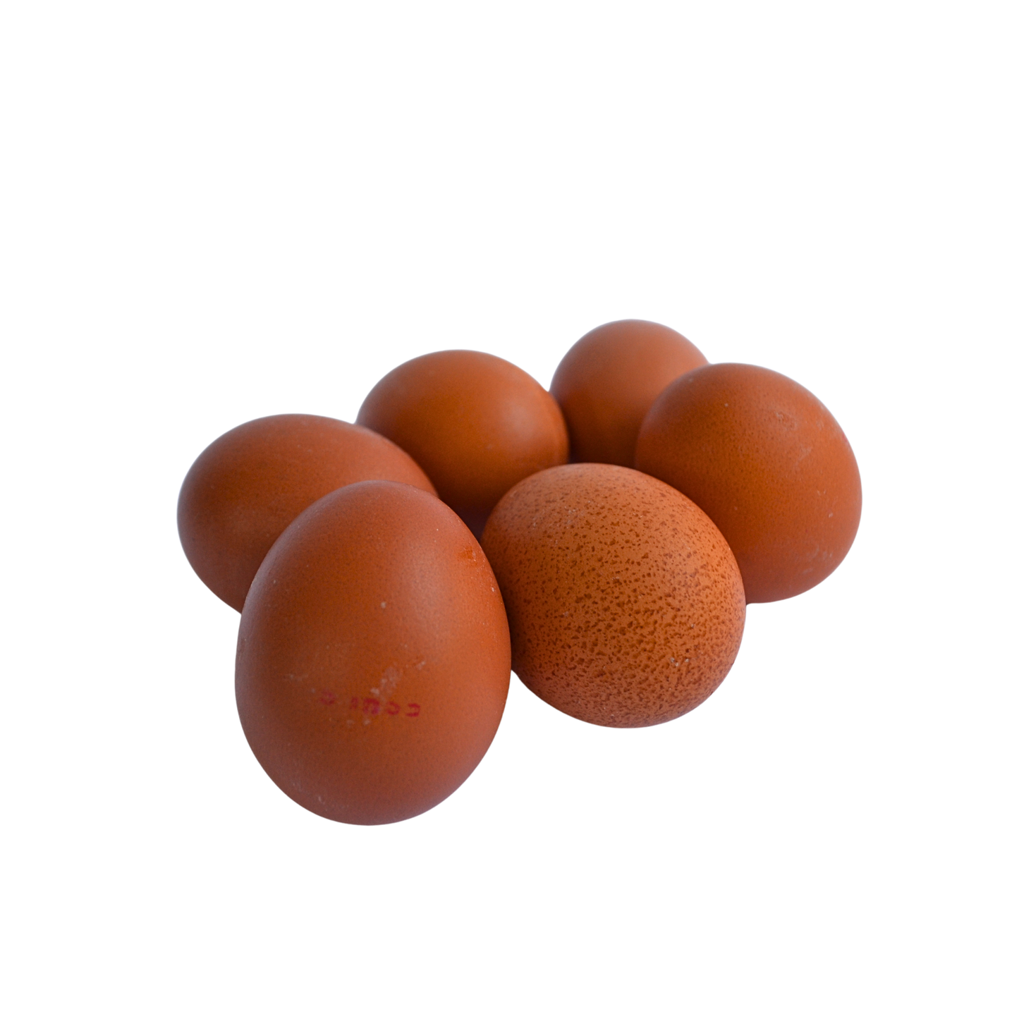 Huevos de Gallinas Libres