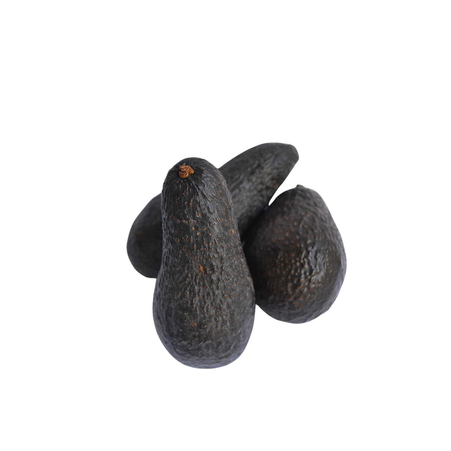 Palta Hass