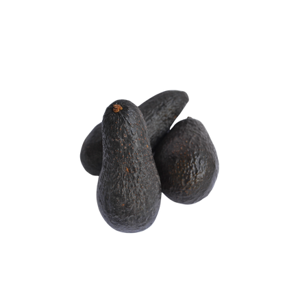 Palta Hass