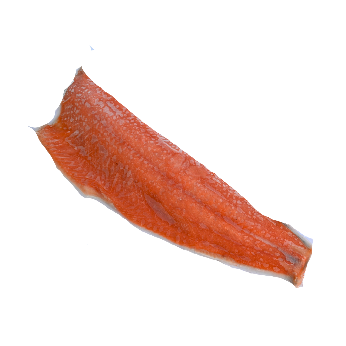 Salmón congelado con piel