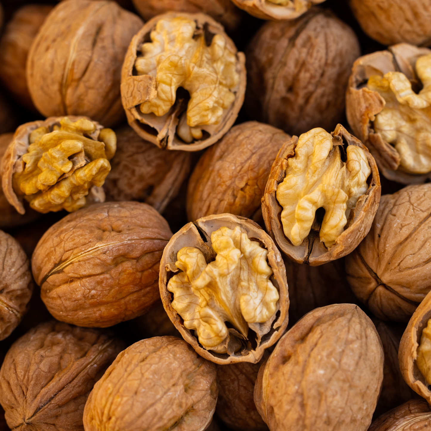 Nueces de Exportación